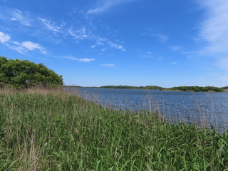 IMG_4801.JPG