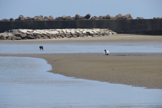IMG_4848.JPG