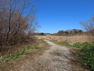 IMG_5025.JPG