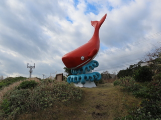 IMG_5029.JPG