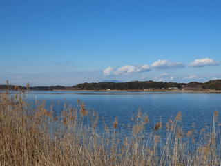 IMG_5263.JPG