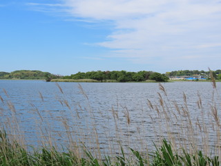 IMG_5347.JPG