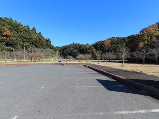 IMG_5459.JPG
