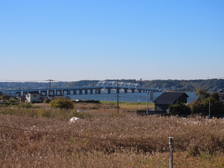 IMG_5464.JPG