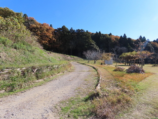 IMG_5468.JPG