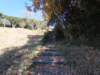 IMG_5478.JPG