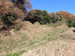 IMG_5488.JPG