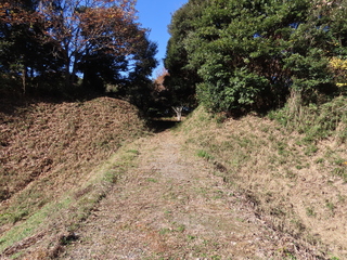IMG_5500.JPG