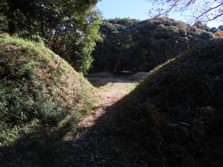 IMG_5505.JPG