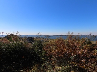 IMG_5511.JPG