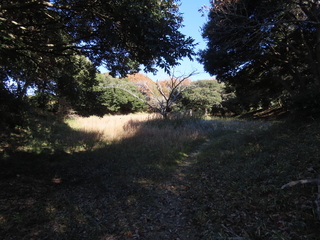 IMG_5515.JPG