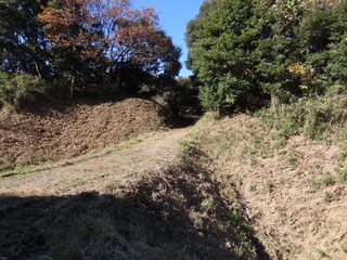 IMG_5529.JPG
