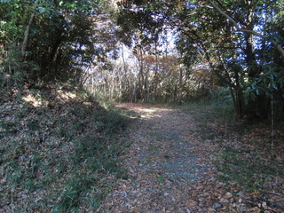 IMG_5531.JPG