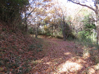IMG_5538.JPG