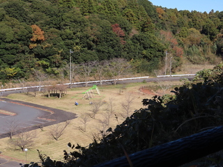 IMG_5549.JPG