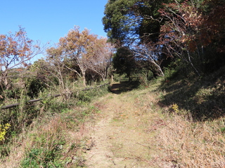 IMG_5552.JPG