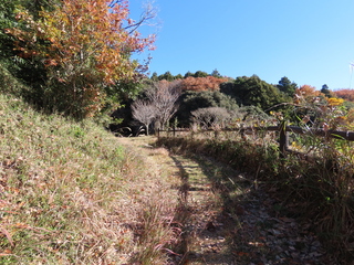 IMG_5555.JPG