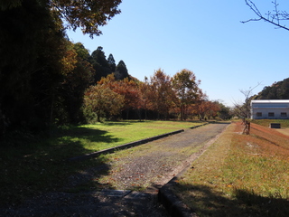IMG_5581.JPG