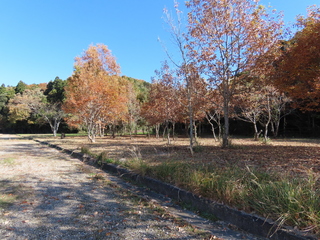 IMG_5591.JPG