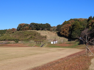 IMG_5592.JPG