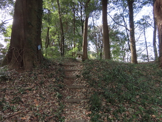 IMG_5633.JPG