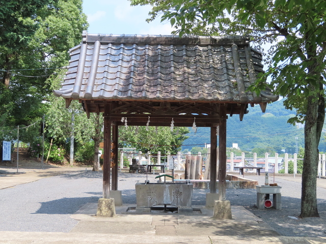 IMG_5690.JPG