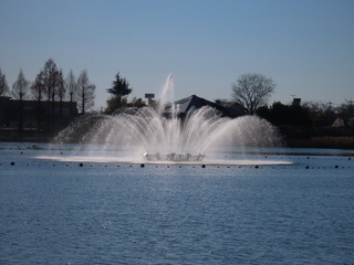 IMG_5760.JPG