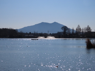 IMG_5772.JPG