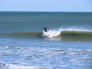 surfing