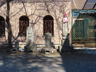 IMG_5942.JPG