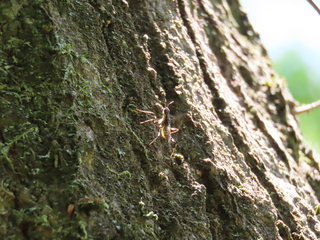 IMG_6027.JPG