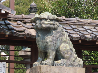 IMG_6317.JPG
