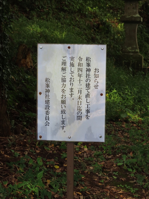 IMG_6380.JPG