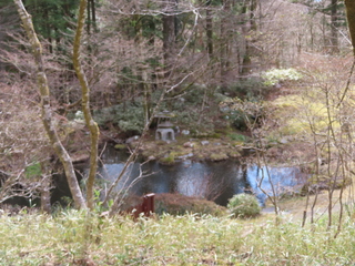 IMG_6398.JPG
