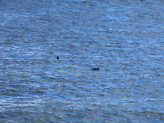 IMG_6439.JPG