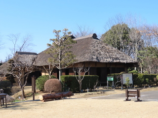 IMG_6469.JPG