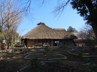 IMG_6480.JPG