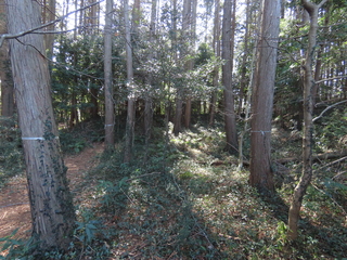 IMG_6498.JPG