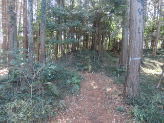 IMG_6502.JPG