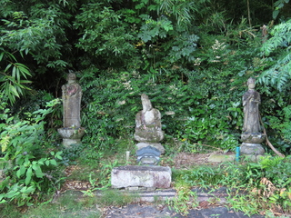 IMG_6536.JPG