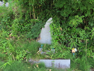 IMG_6539.JPG