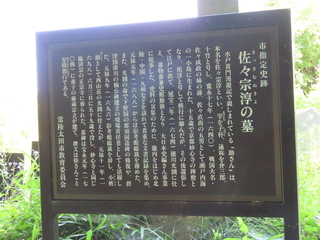 IMG_6543.JPG