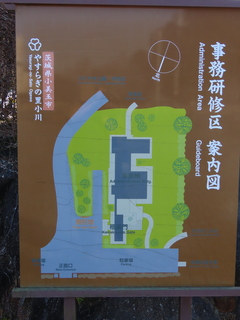 IMG_6557.JPG
