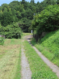 IMG_6562.JPG