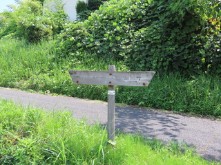 IMG_6563.JPG