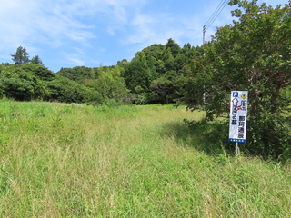 IMG_6565.JPG
