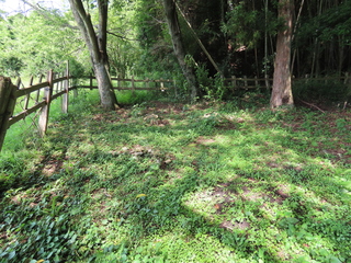 IMG_6573.JPG