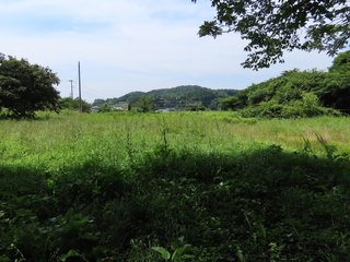 IMG_6574.JPG