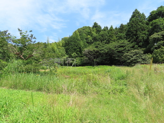 IMG_6575.JPG