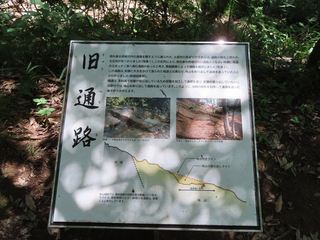 IMG_6622.JPG